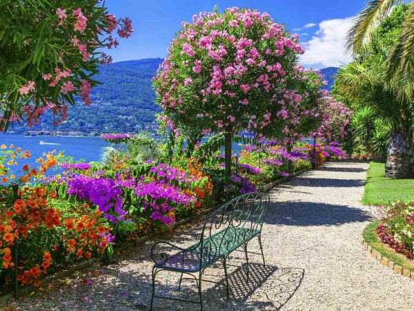 Lago Maggiore - beautiful "Isola madre" with ornamental floral g