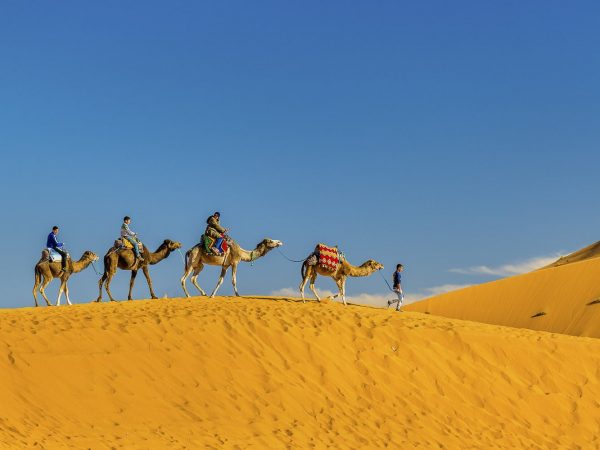 Tourists riding camels at Erg Chebbi near Merzouga in Morocco. Sahara, Africa