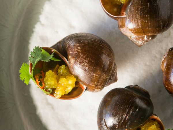 Spicy River Snails with Tapioca and Turmeric Sofrito